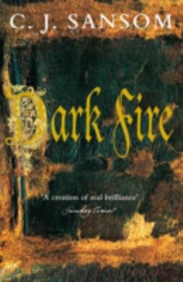 Dark Fire 0330546058 Book Cover