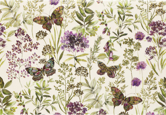 Amethyst Butterflies Note Cards 1441339043 Book Cover