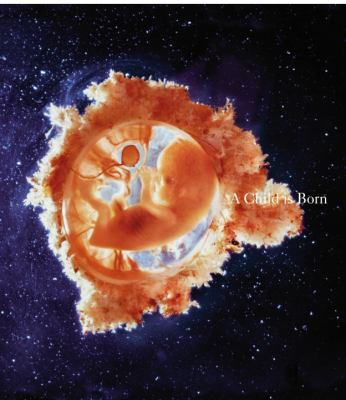 A Child is Born [Nov 23, 2009] Nilsson, Lennart 0224089951 Book Cover