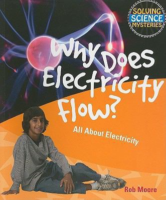 Why Does Electricity Flow?: All about Electricity 1615319174 Book Cover