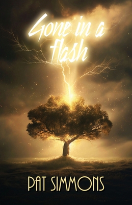 Gone in a Flash 1761097059 Book Cover