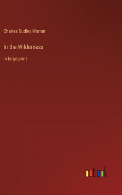 In the Wilderness: in large print 3368622331 Book Cover
