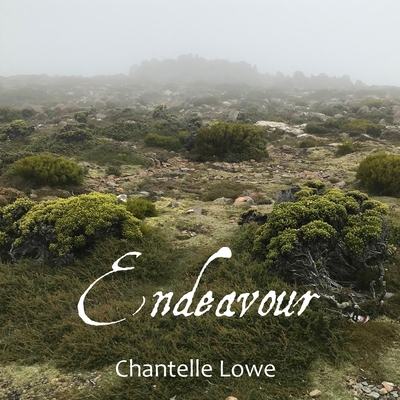 Endeavour: Poetry Anthology - Volume Three 0648778681 Book Cover