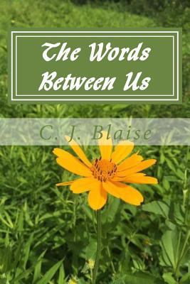 The Words Between Us 1548095168 Book Cover