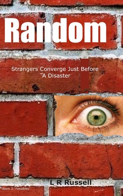 Random: Strangers Converge Just Before A Disaster 1086100611 Book Cover
