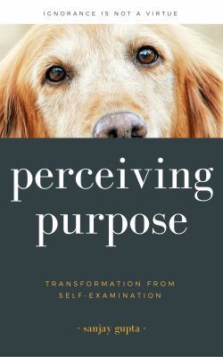Perceiving Purpose 1946670014 Book Cover