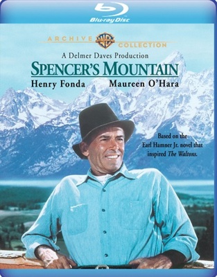 Spencer's Mountain            Book Cover