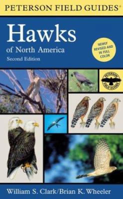 A Field Guide to Hawks of North America 0395670683 Book Cover