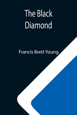 The Black Diamond 9355112211 Book Cover