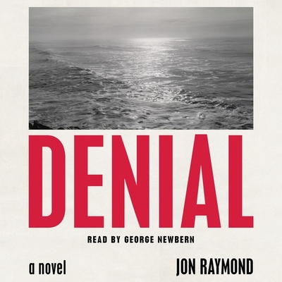 Denial 1797142895 Book Cover