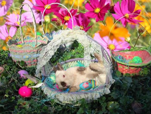 Easter Basket Fun! : Bunny Friends Easter Adventure Series #4 Of 5