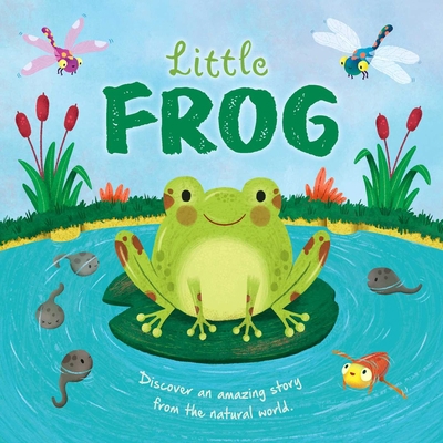 Nature Stories: Little Frog-Discover an Amazing... 1801087237 Book Cover