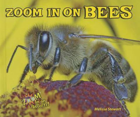 Zoom in on Bees 0766042103 Book Cover