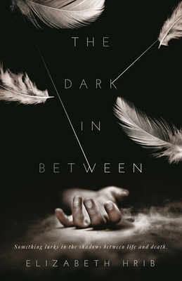 The Dark In-Between 1250242746 Book Cover