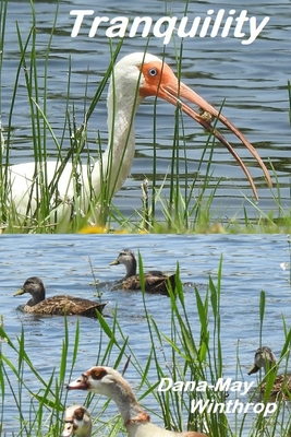 Tranquility B08C8XFG1L Book Cover