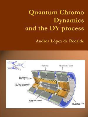 QCD & the DY process 1387488104 Book Cover