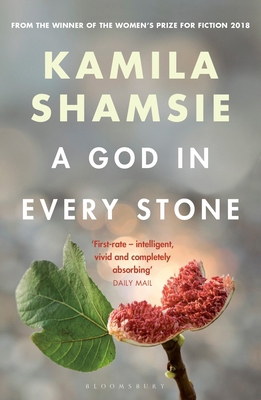 A God in Every Stone 1526607786 Book Cover