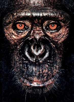 James Mollison: James & Other Apes 0954689437 Book Cover