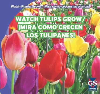 Watch Tulips Grow / ¡Mira Cómo Crecen Los Tulip... 1433948494 Book Cover