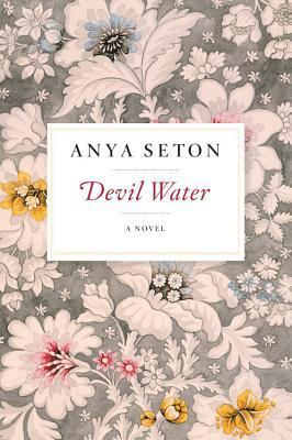 Devil Water 0544240405 Book Cover