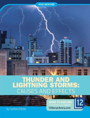 Thunder and Lightning Storms: Causes and Effects 1645821900 Book Cover