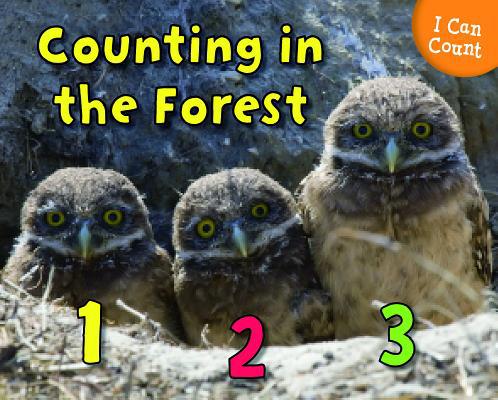 Counting in the Forest (I Can Count!)