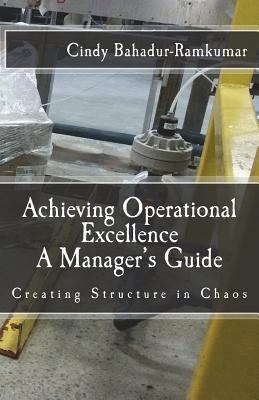 Achieving Operational Excellence: A Manager's G... 198645424X Book Cover