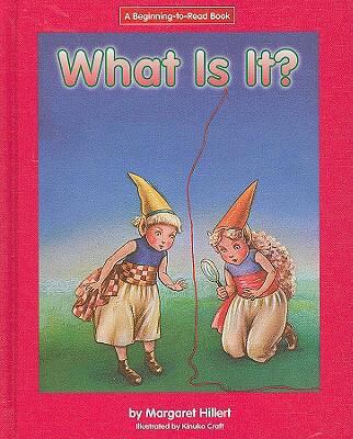 What Is It? 1599531542 Book Cover