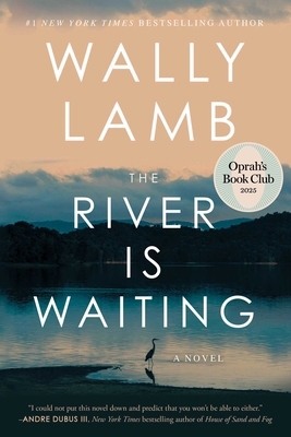 The River Is Waiting (Oprah's Book Club) 1668006391 Book Cover