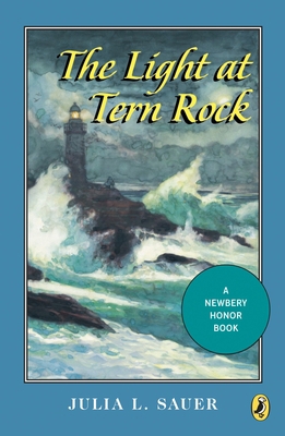 The Light at Tern Rock 0140368574 Book Cover