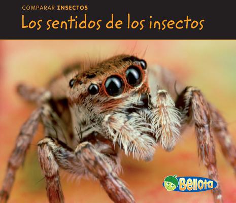 Los Sentidos de Los Insectos = Bug Senses [Spanish] 1432943235 Book Cover