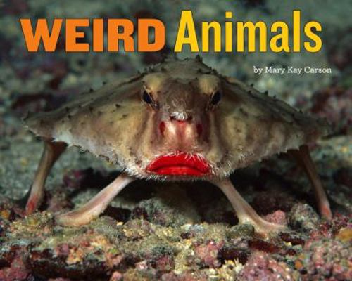 Weird Animals 1454929677 Book Cover