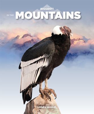 In the Mountains 1628326492 Book Cover