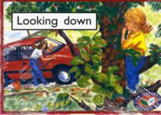 PM Starters: Two - Looking Down (PM Starters) 1869556569 Book Cover