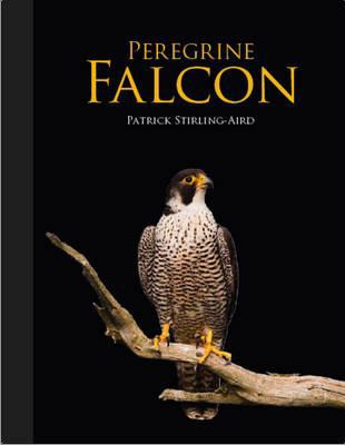 Peregrine Falcon 1847737692 Book Cover