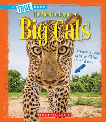 Big Cats (a True Book: The Most Endangered) 0531232778 Book Cover