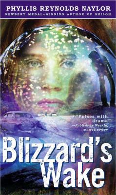Blizzard's Wake 0689852215 Book Cover