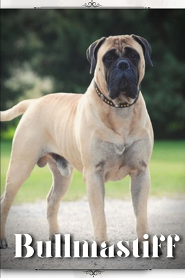 Bullmastiff: Dog breed overview and guide B0C9SDMW79 Book Cover
