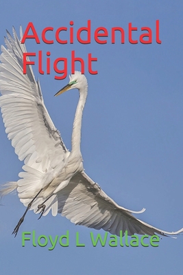 Accidental Flight 1711036765 Book Cover