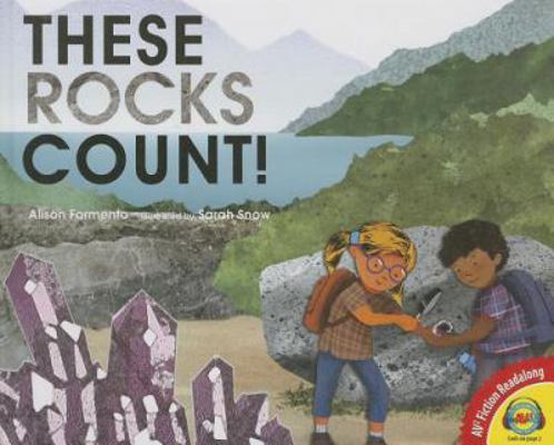 These Rocks Count! 1489624228 Book Cover