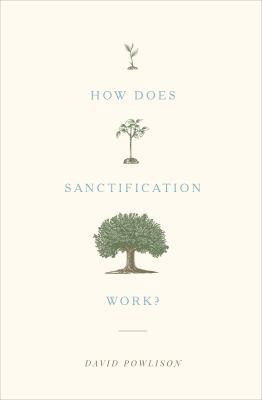 How Does Sanctification Work? 1433556138 Book Cover