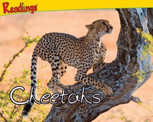 Cheetahs (Predator Animals) 1615415440 Book Cover
