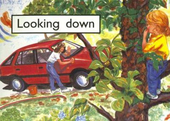 Looking Down (Rigby PM Collection: PM Starters ... 0763541729 Book Cover