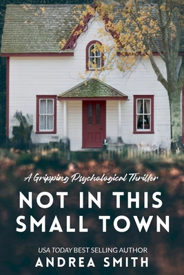 Not In This Small Town B095HQVQRN Book Cover