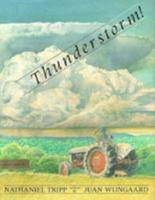 Thunderstorm 0803713665 Book Cover