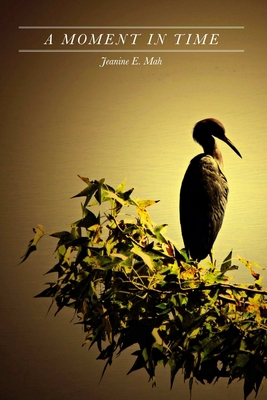 A Moment in Time 1257970208 Book Cover