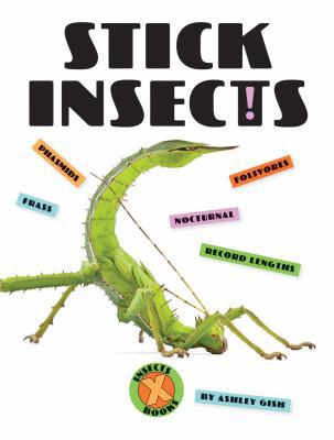 Stick Insects 1628326204 Book Cover