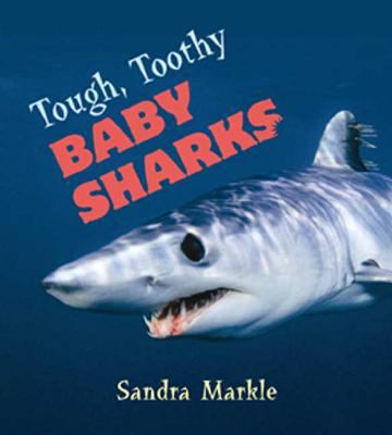 Tough, Toothy Baby Sharks 0802795935 Book Cover