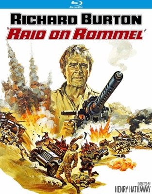 Raid On Rommel            Book Cover