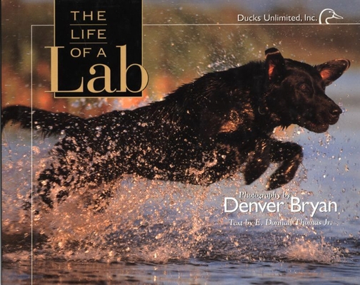 The Waterfowler's World 1572232811 Book Cover